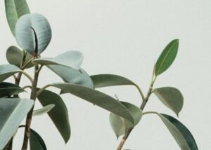 Here's how using consistent branding helps to strengthen the relationship with your customers, and grow your business.