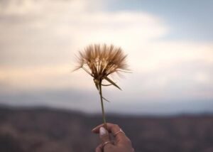 Working out how to get your business to stand out doesn’t have to be something to stress out over. Follow this simple, straightforward advice, and learn how to grow your brand and business organically.