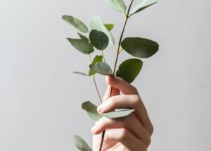 Read this post to learn what brand strategy is and how to use brand strategy to grow your brand and business.