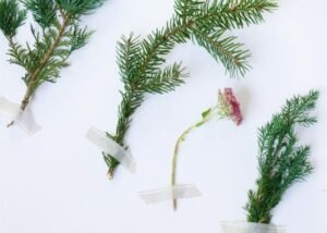 What to check if your brand isn’t working. Here are 5 brand-related areas that might be causing your brand to underperform.