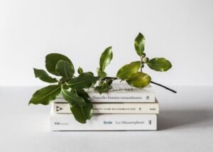 Storytelling is an impactful way to connect with your audience and establish your brand. Here's how to create a brand story that will draw in clients and keep them coming back.