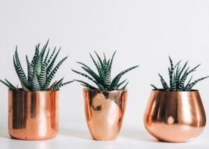 Easy-to-understand definitions to explain the difference between common branding terms. Learn the difference between a "brand" and a "brand identity" and how each of those are more than simply a logo!